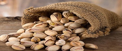 تصویر 4 از خرید پسته اکبری سیرجان + قیمت فروش استثنایی